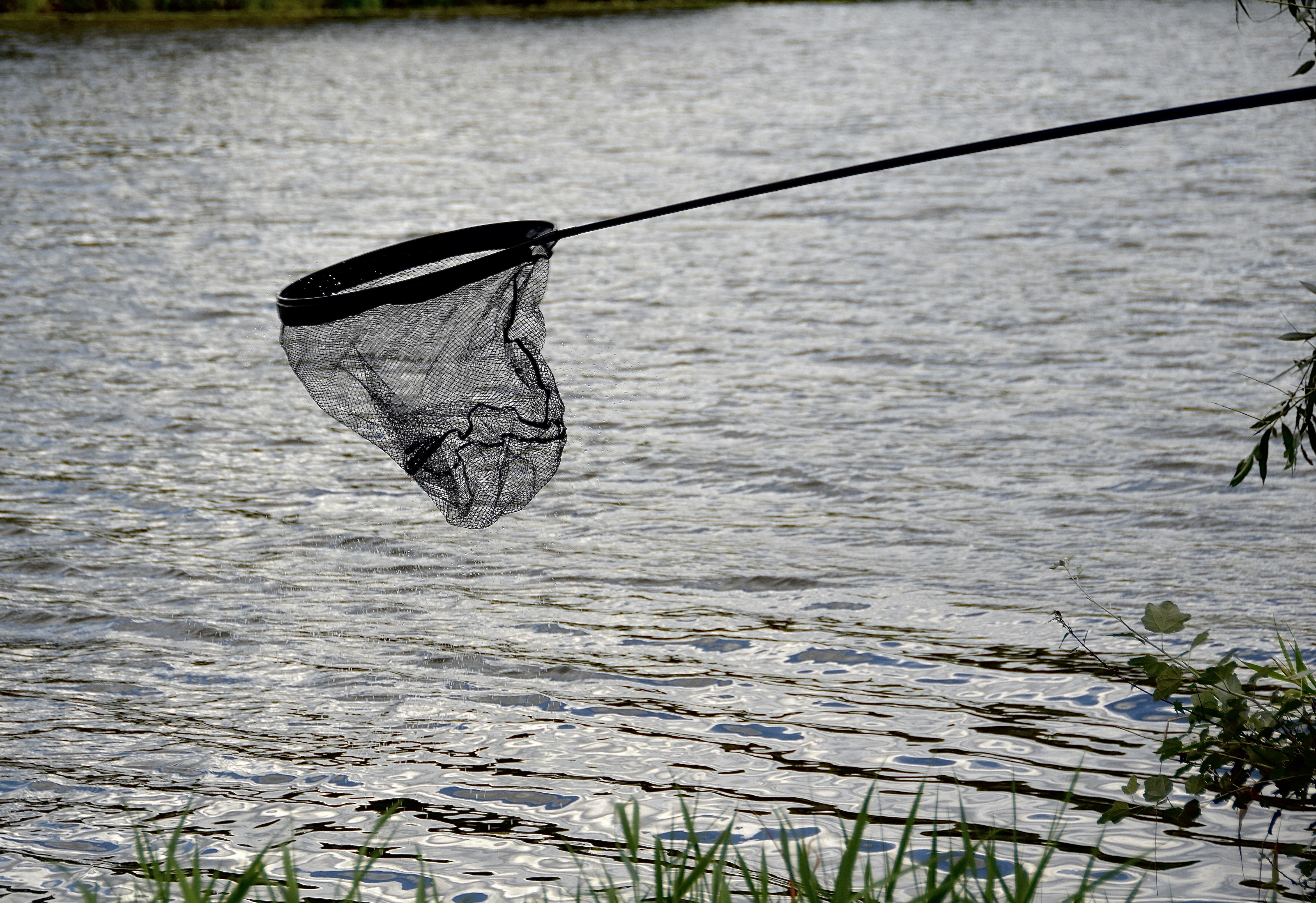 img-3981.jpeg (5.49 MB)