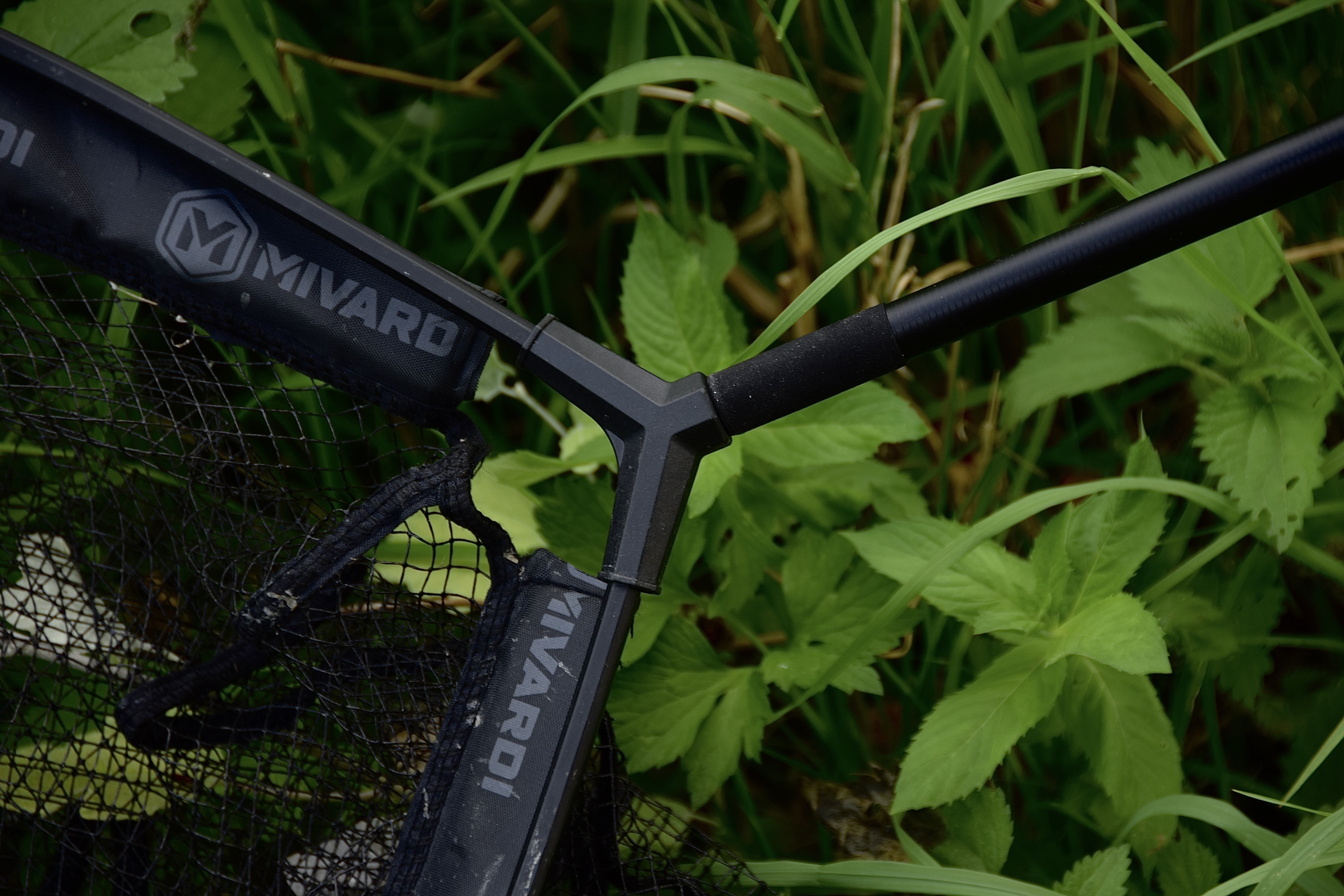 img-4045.jpeg (6.15 MB)