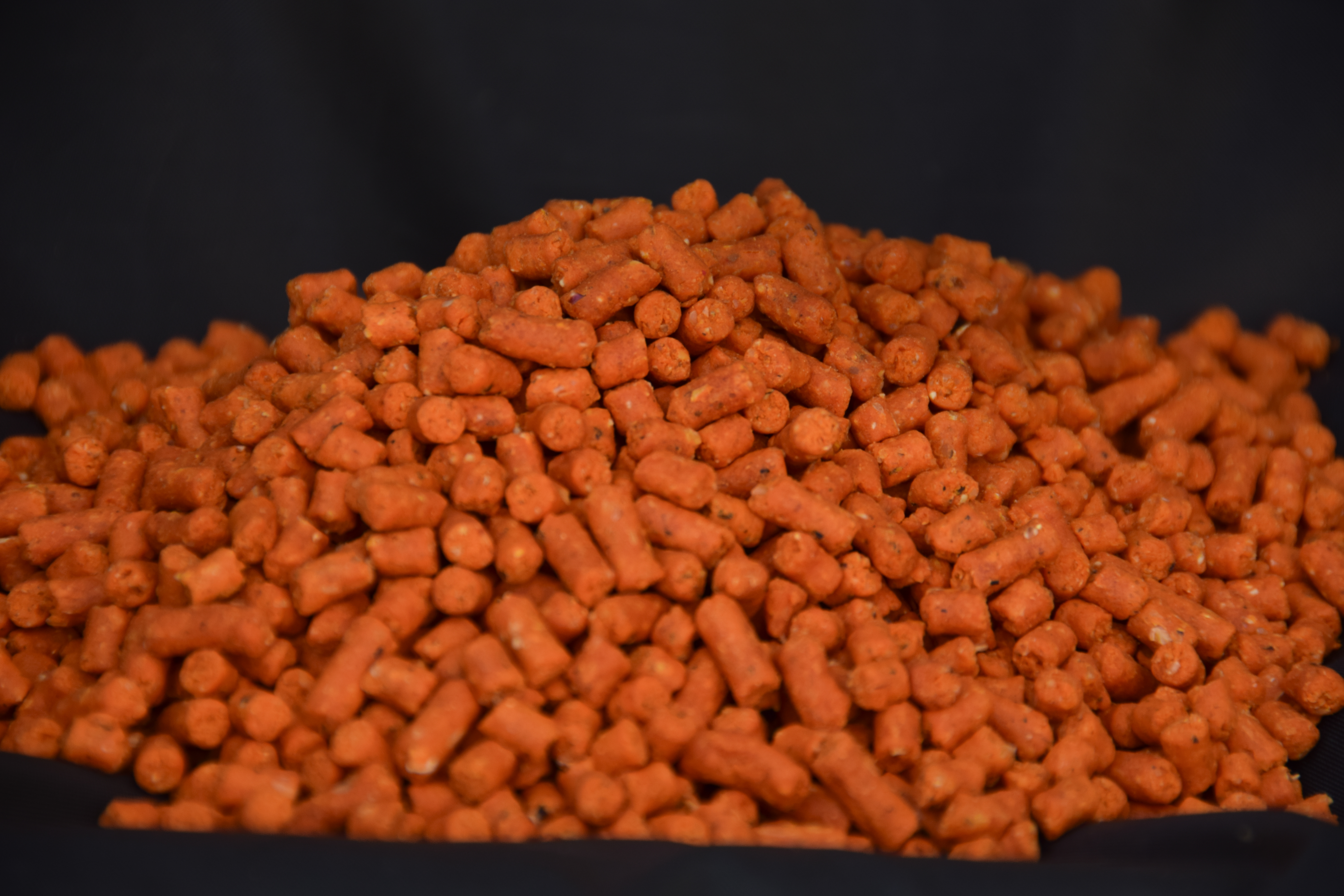 dsc-0041-2.jpg (9.15 MB)