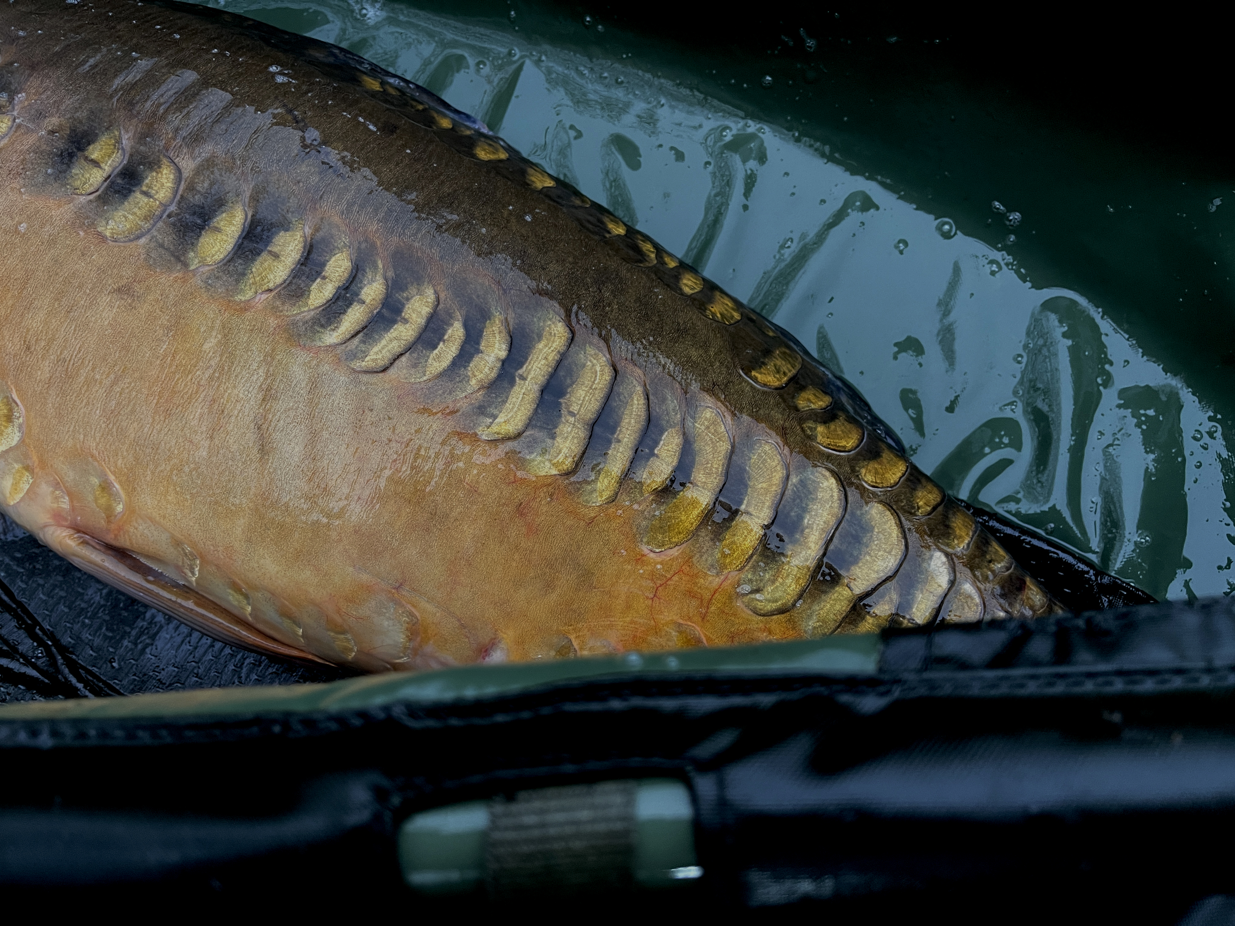 img-7524.jpg (6.76 MB)