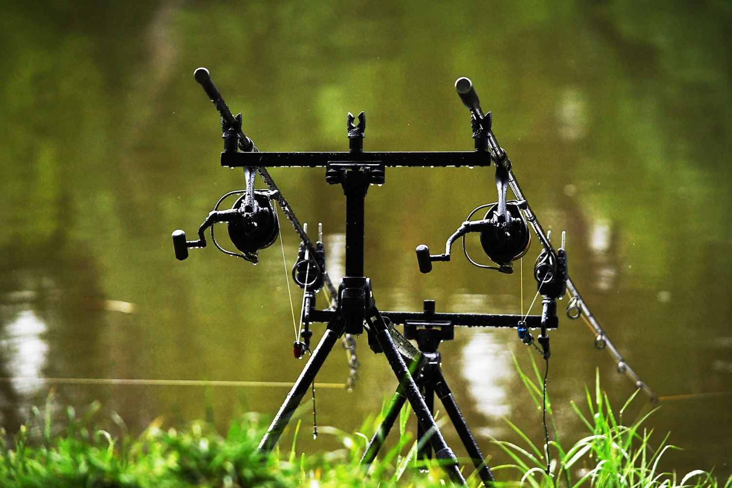 rodpod-hardcore.jpg (845 KB)