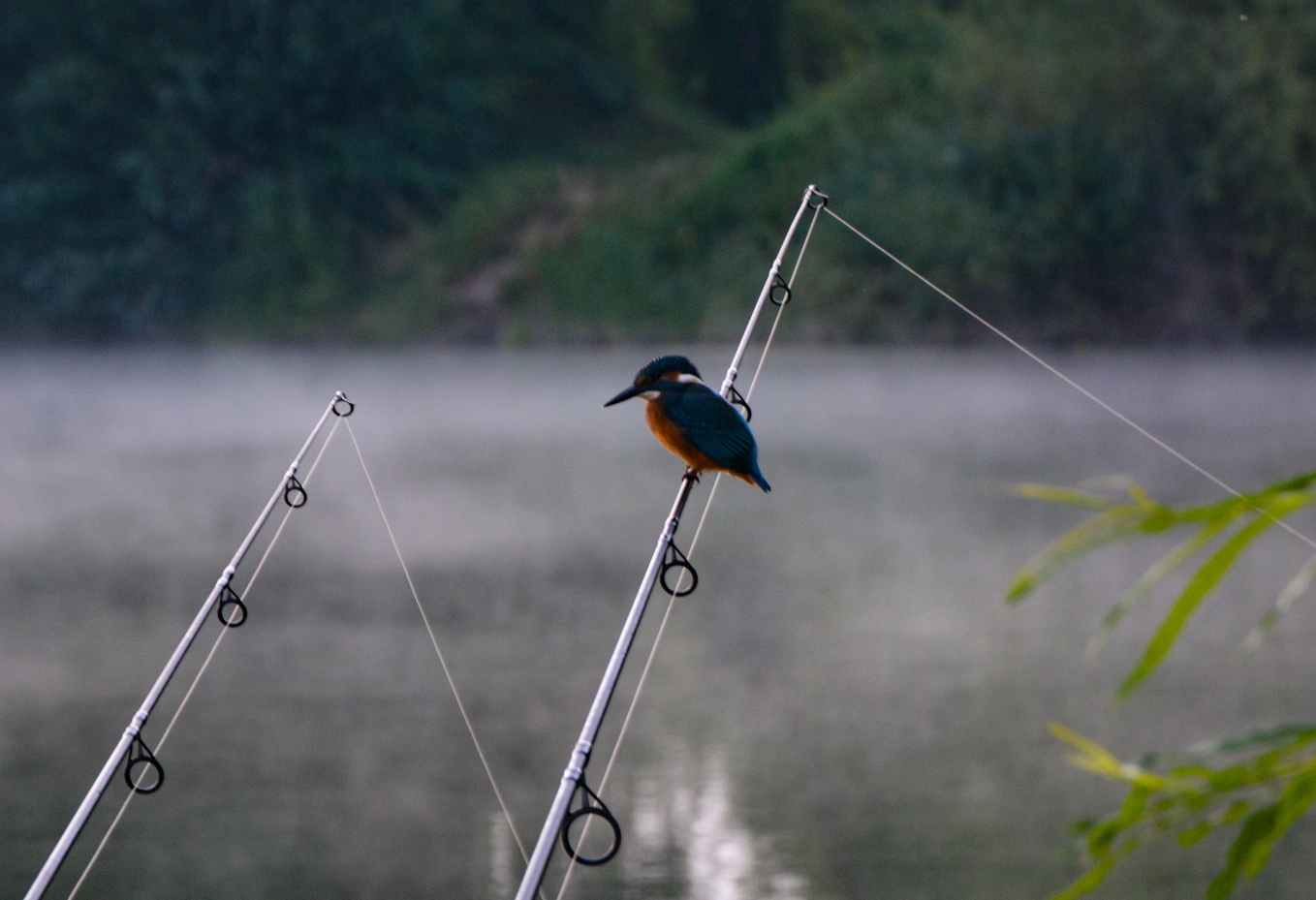 psx-20210813-120055.jpg (556 KB)