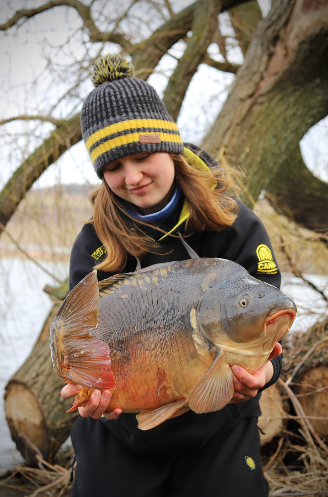 img-7841.jpg (235 KB)