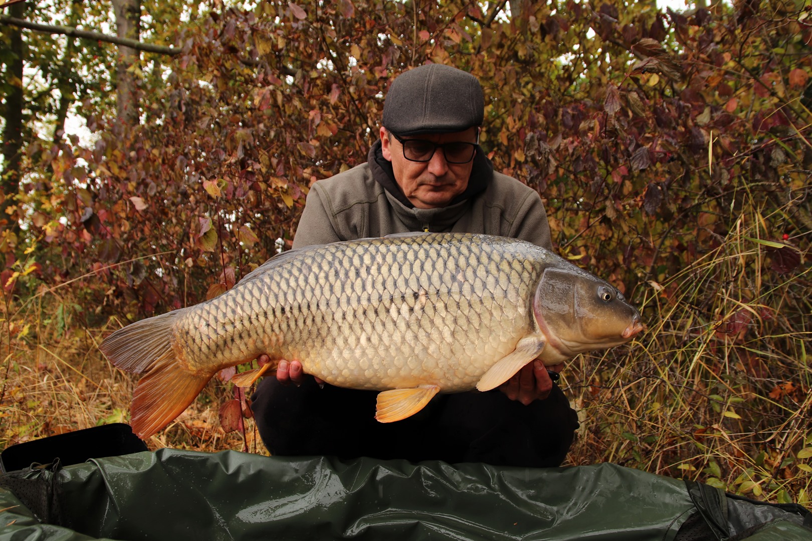 img-9140.jpg (598 KB)