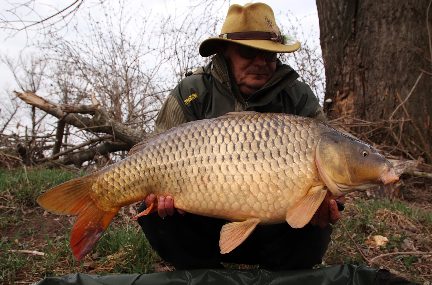 img-0268.jpg (690 KB)