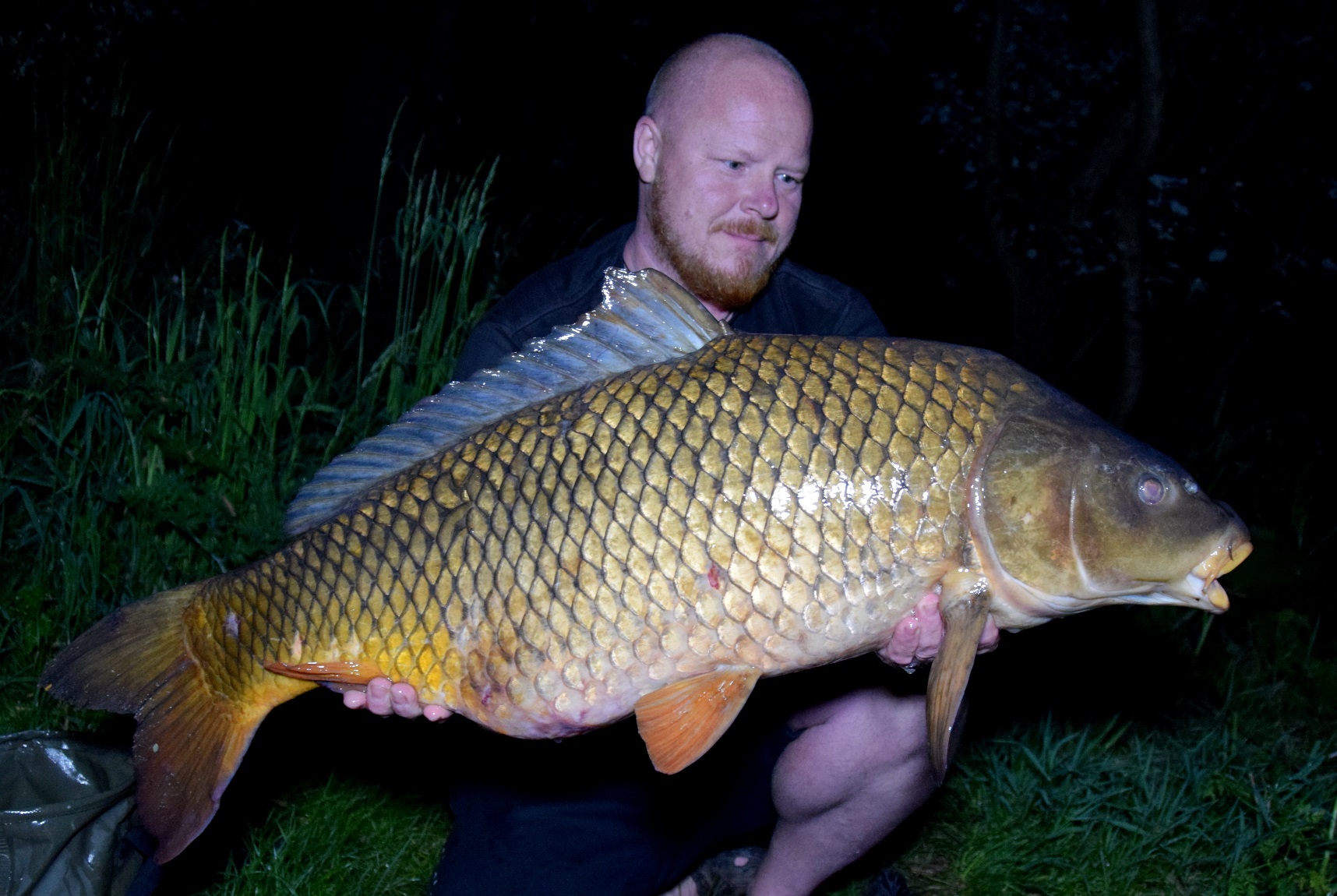 dsc-0004.jpg (510 KB)