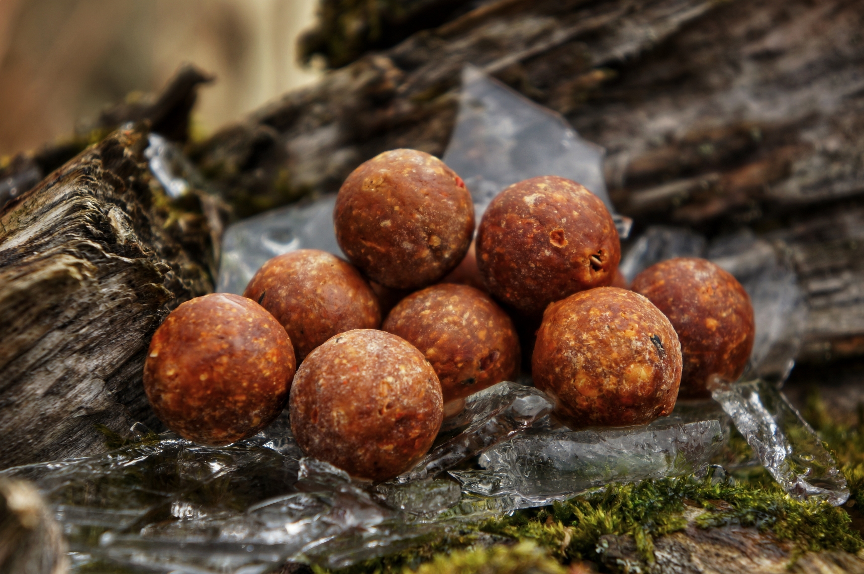 1646212053736.jpg (1.34 MB)