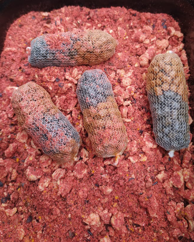 125869195-403751570665710-6245202865497436592-n.jpg (590 KB)