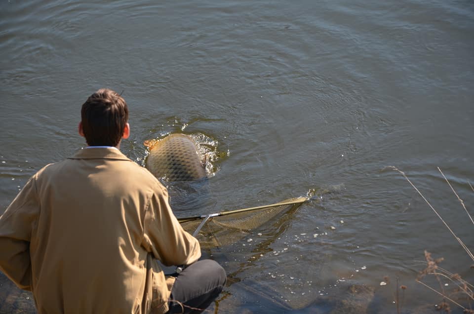 169144605-10208577969924332-8070953395888863611-n.jpg (49 KB)