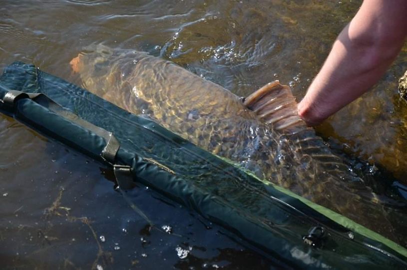 173197934-2727359974261324-1533657673400357671-n.jpg (66 KB)