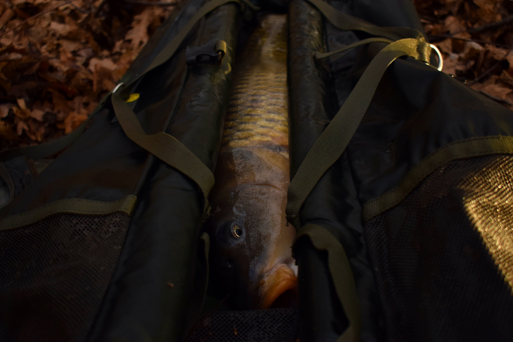 dsc-0612-fotor.jpg (139 KB)