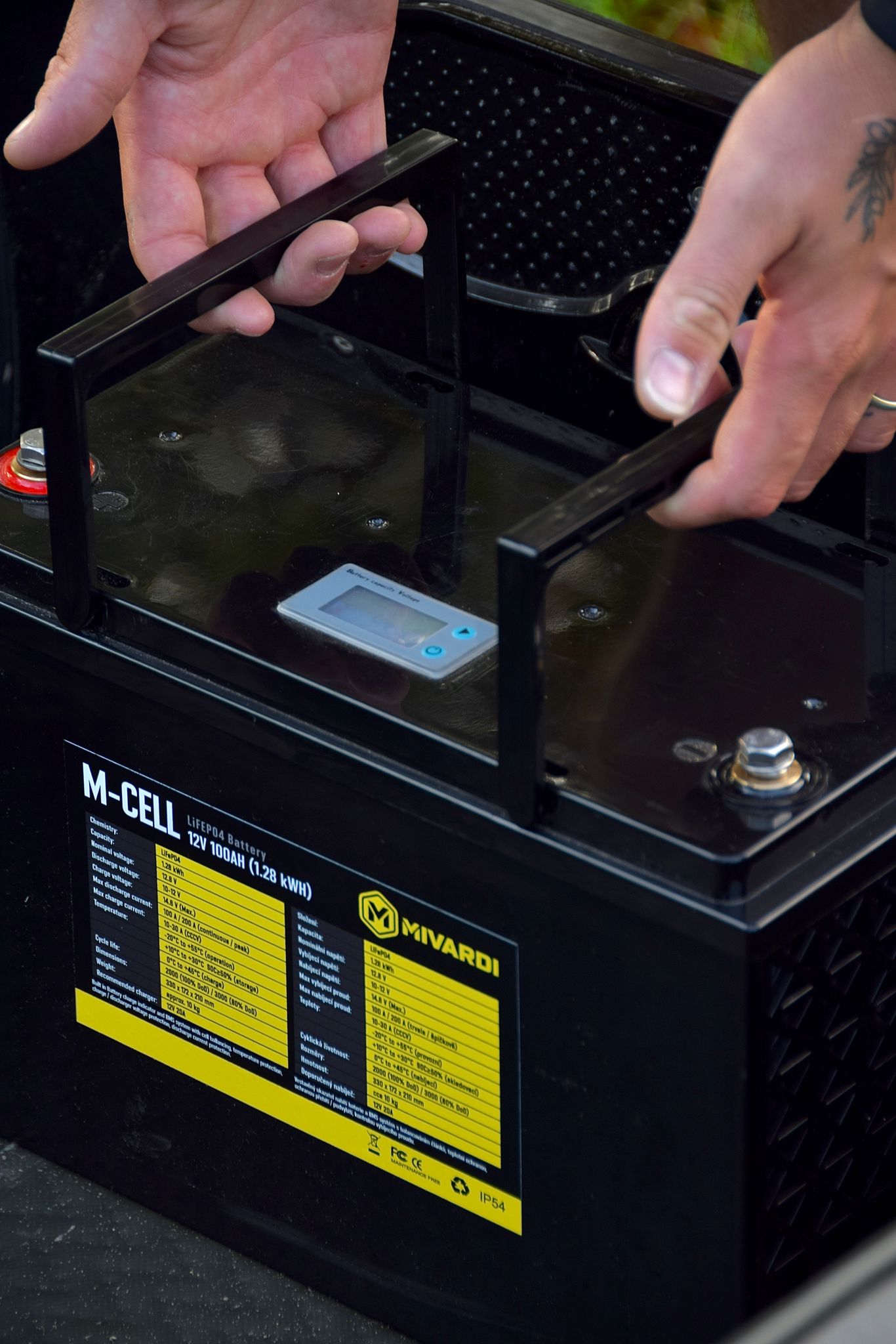 mcell-1.jpg (264 KB)