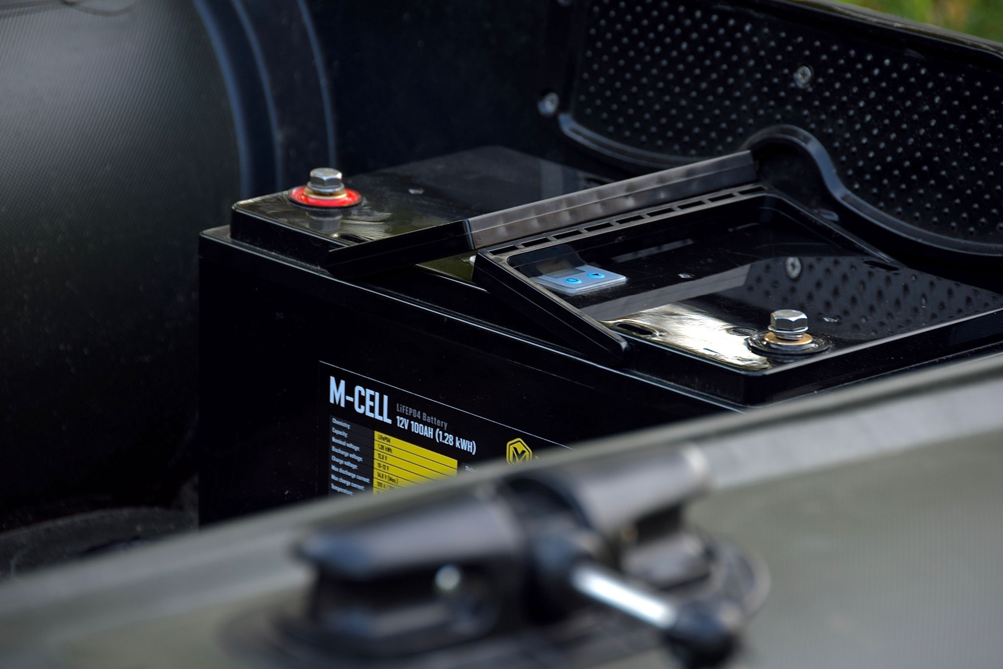 mcell-4.jpg (201 KB)