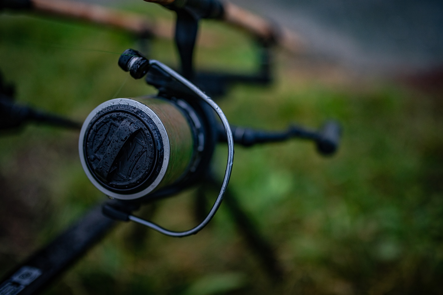 img-6650.jpg (520 KB)