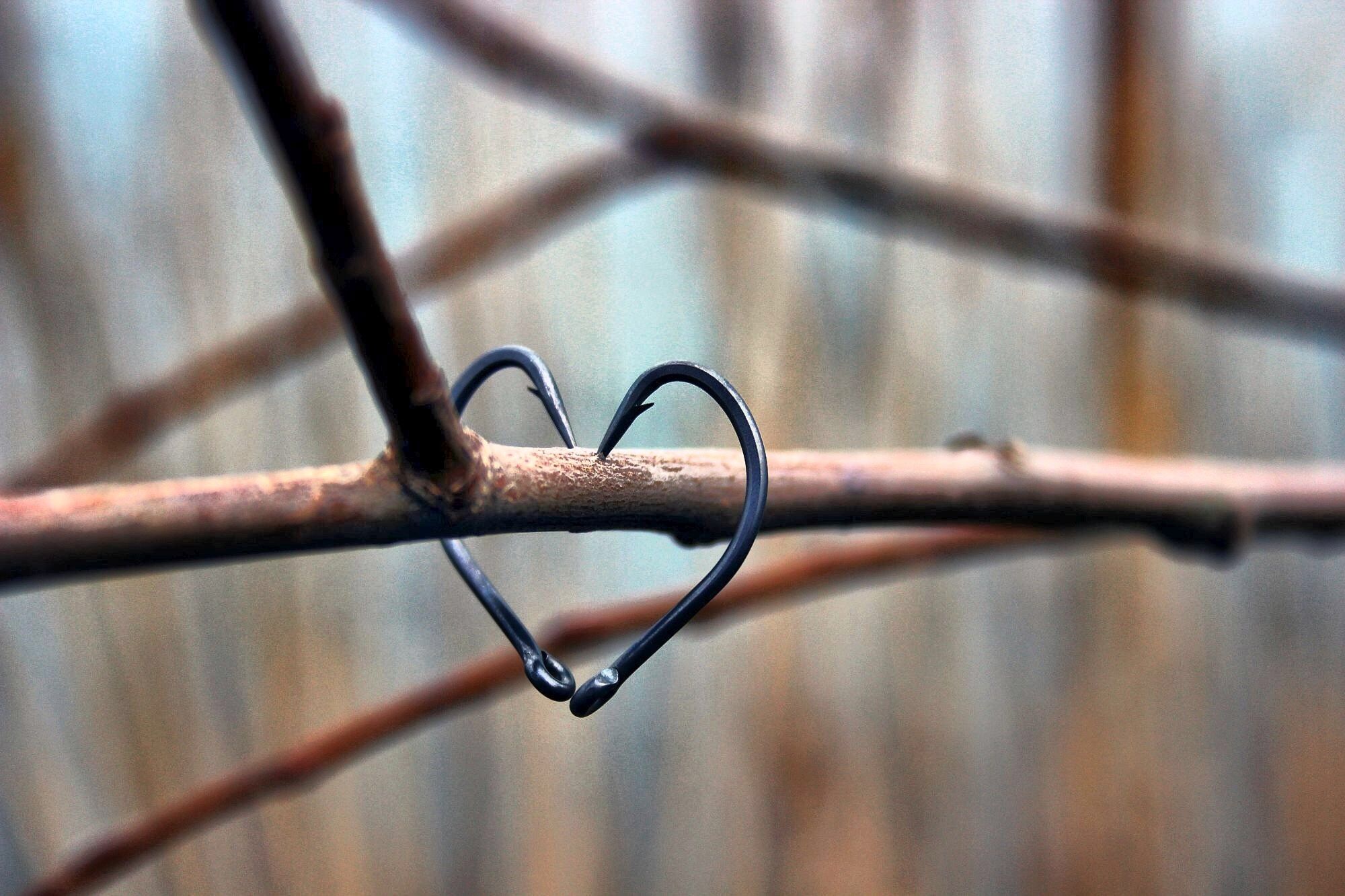 deni-17.jpg (304 KB)