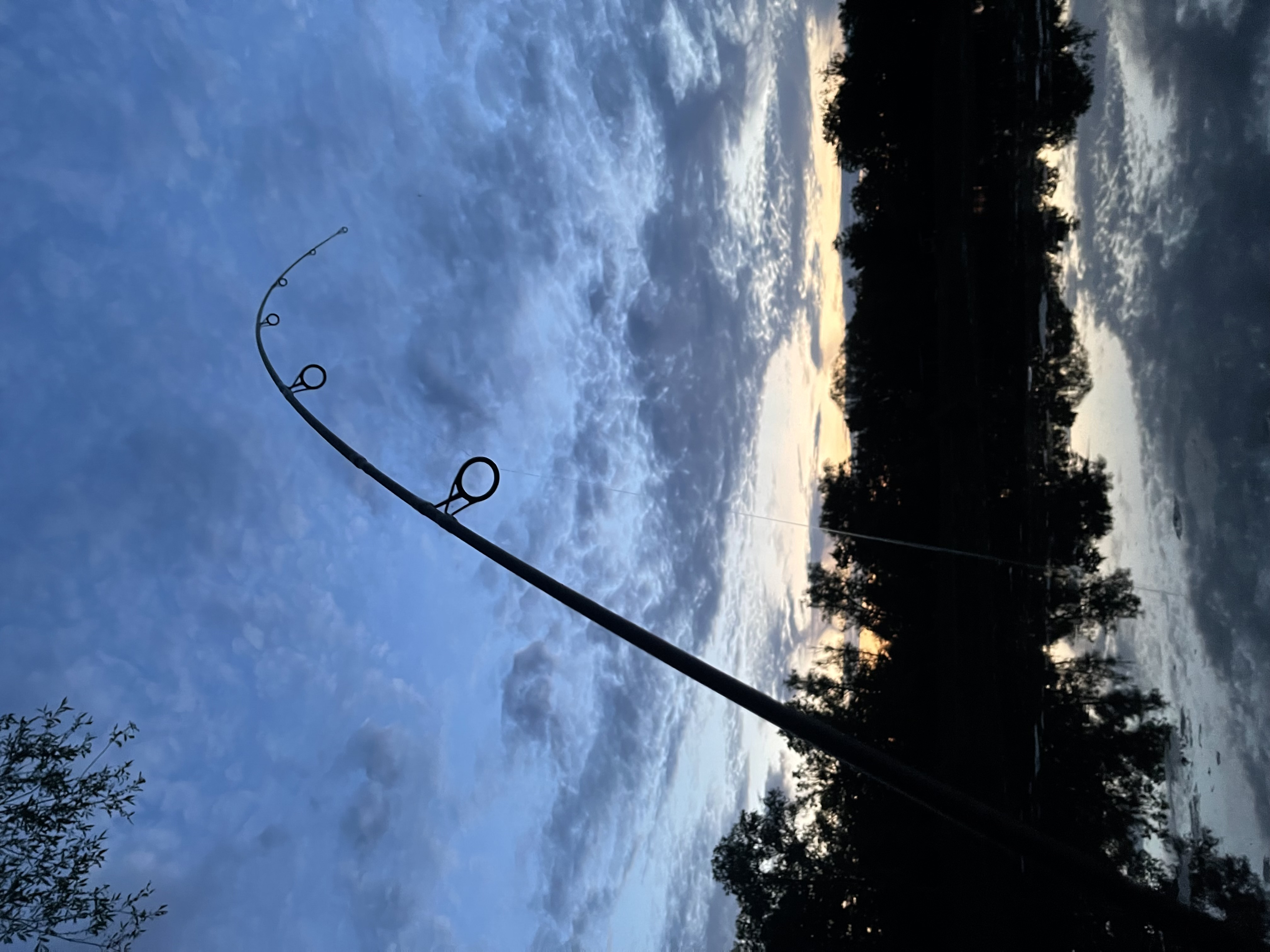 mivardi-karpfen-deutschland-dominik-weber-baggersee-2022-3.jpg (1.26 MB)