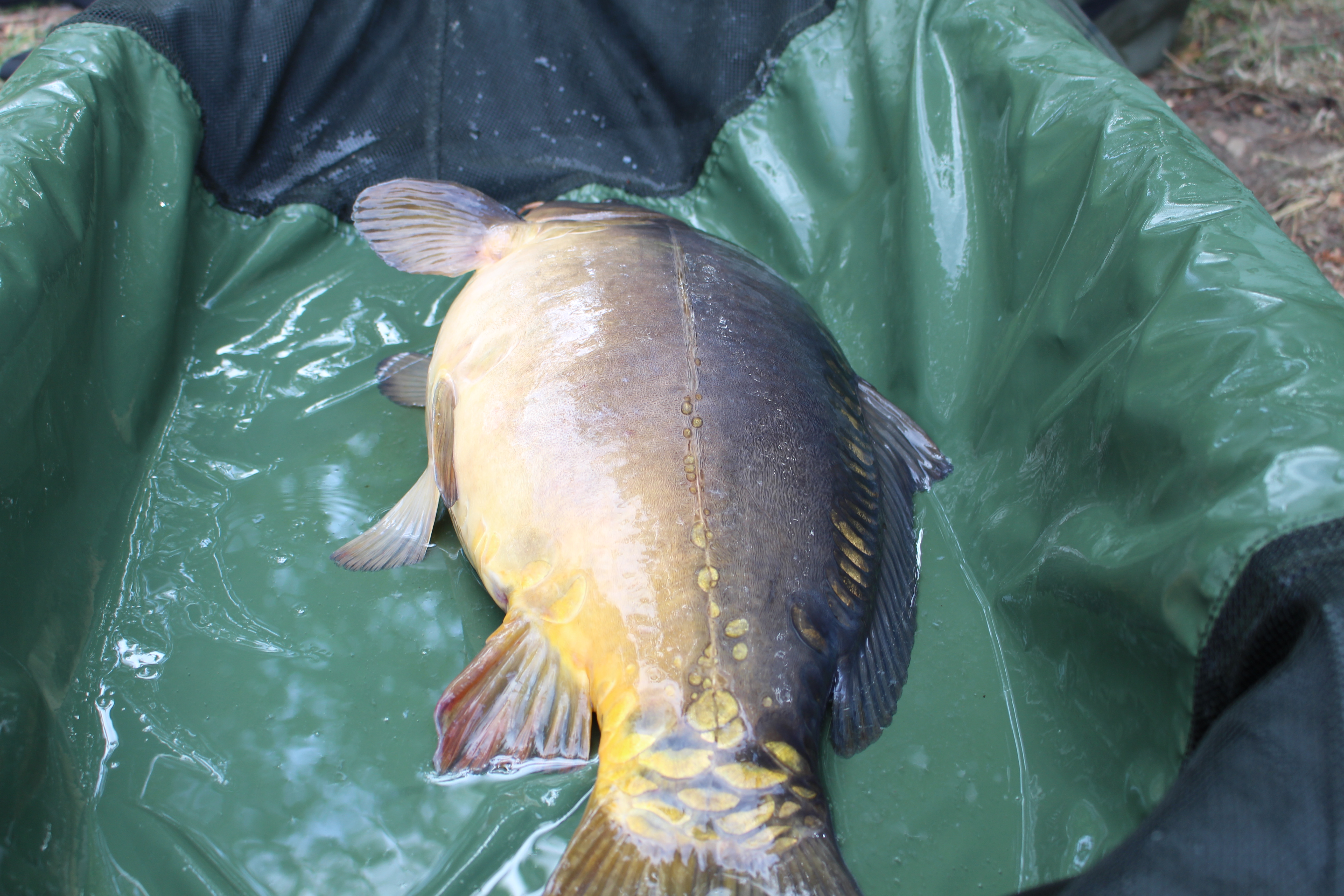 mivardi-abhakmatte-tim-2023-3.jpg (5.38 MB)