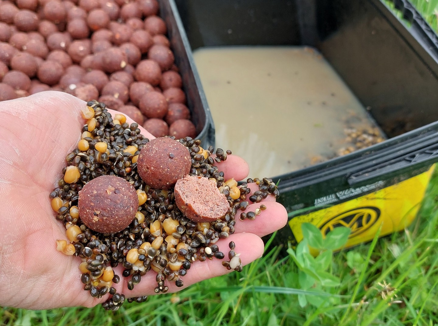 mivardi-deutschland-tobias-seel-futterplatz-karpfen-angeln-mai-2023-2.jpg (360 KB)