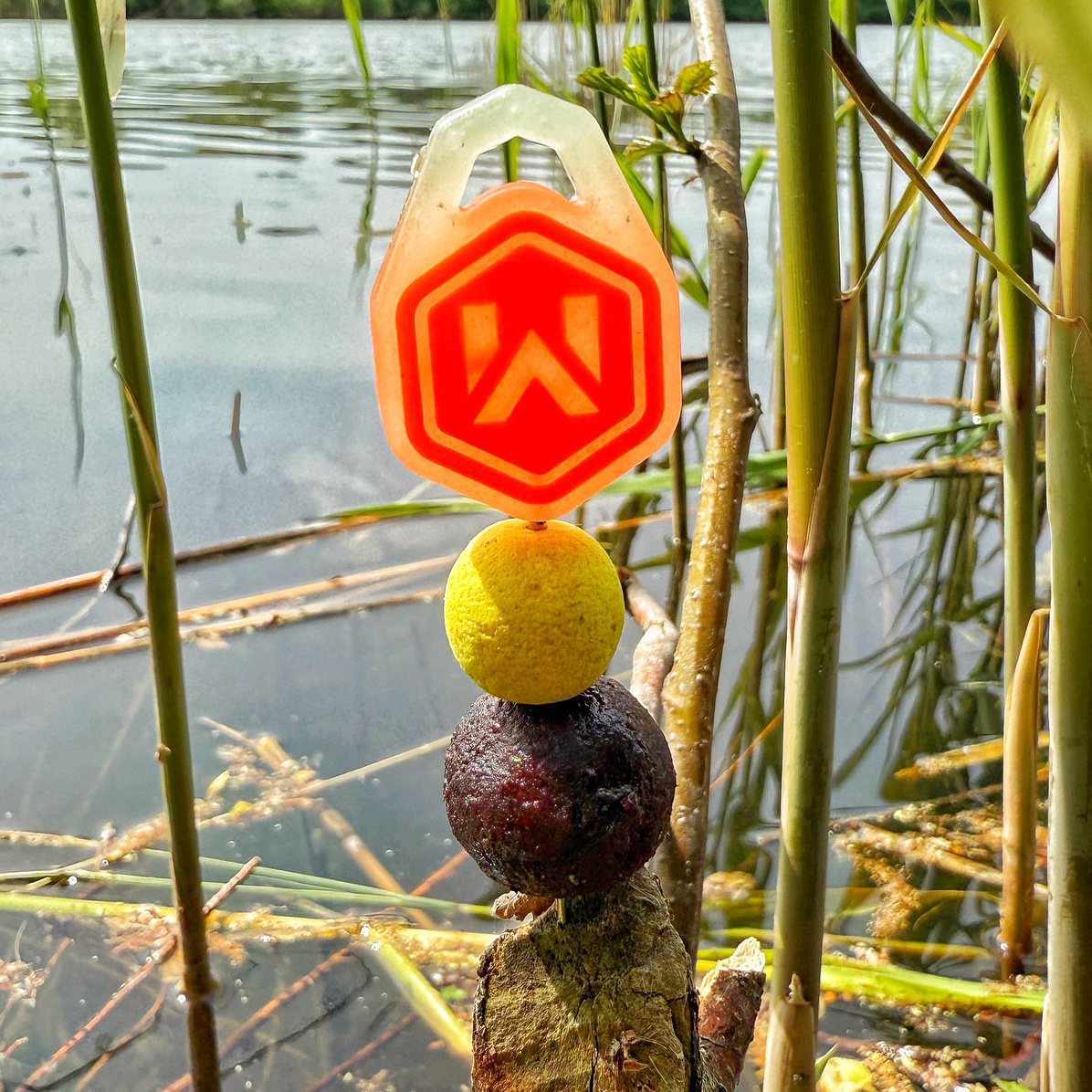 mivardi-nadeln-und-kleinteile-karpfenangeln-1.jpg (1.22 MB)