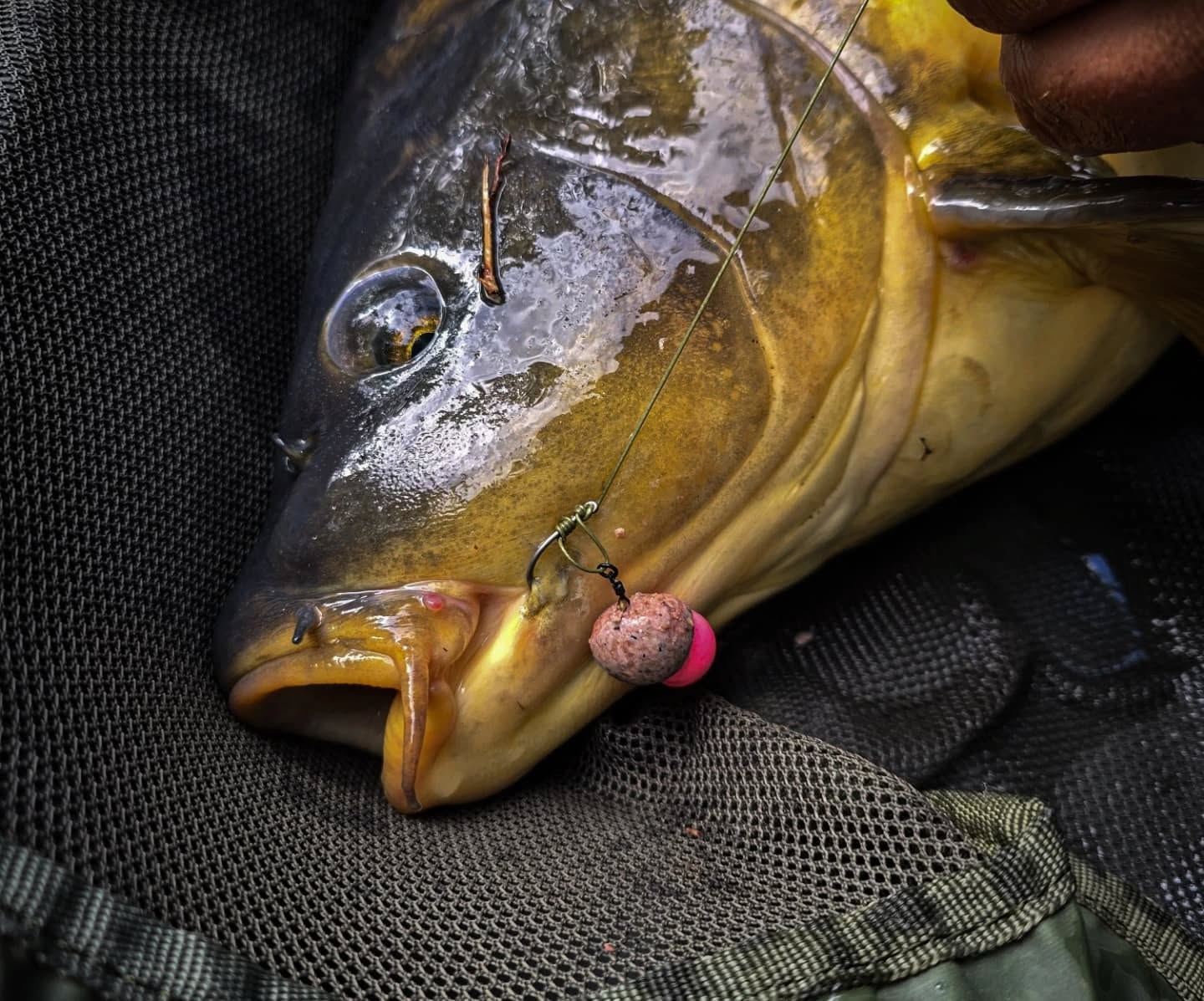 sascha-luther-mivardi-deutschland-2025-mai-2.jpg (241 KB)