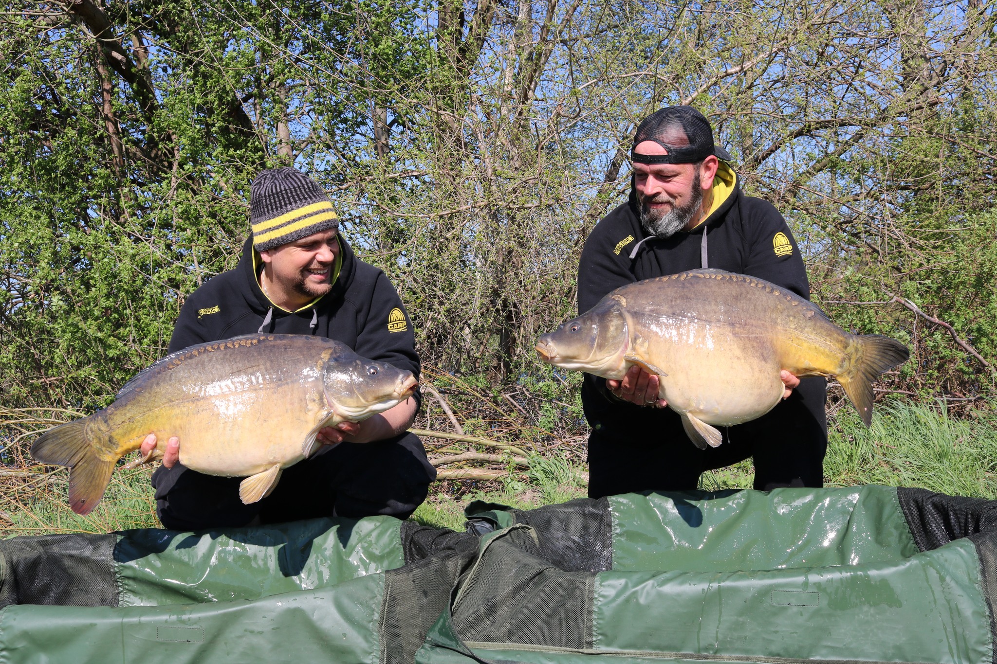 26-10-2022-1.jpg (1.28 MB)