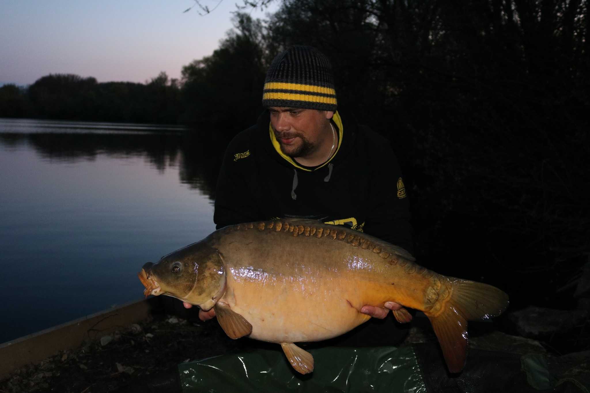 26-10-2022-2.jpg (384 KB)