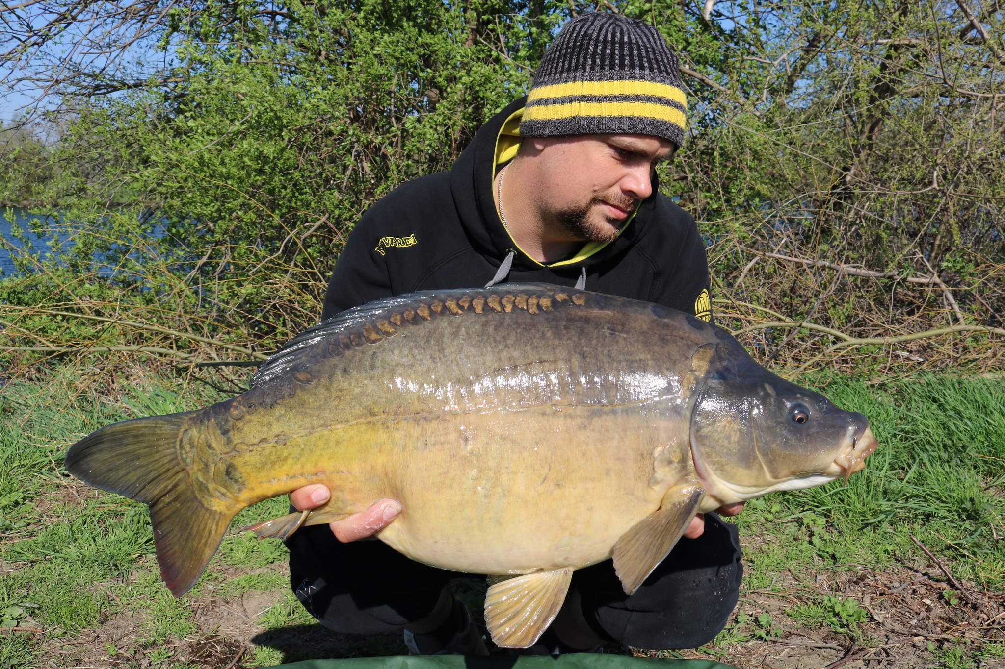 26-10-2022-6.jpg (1.16 MB)