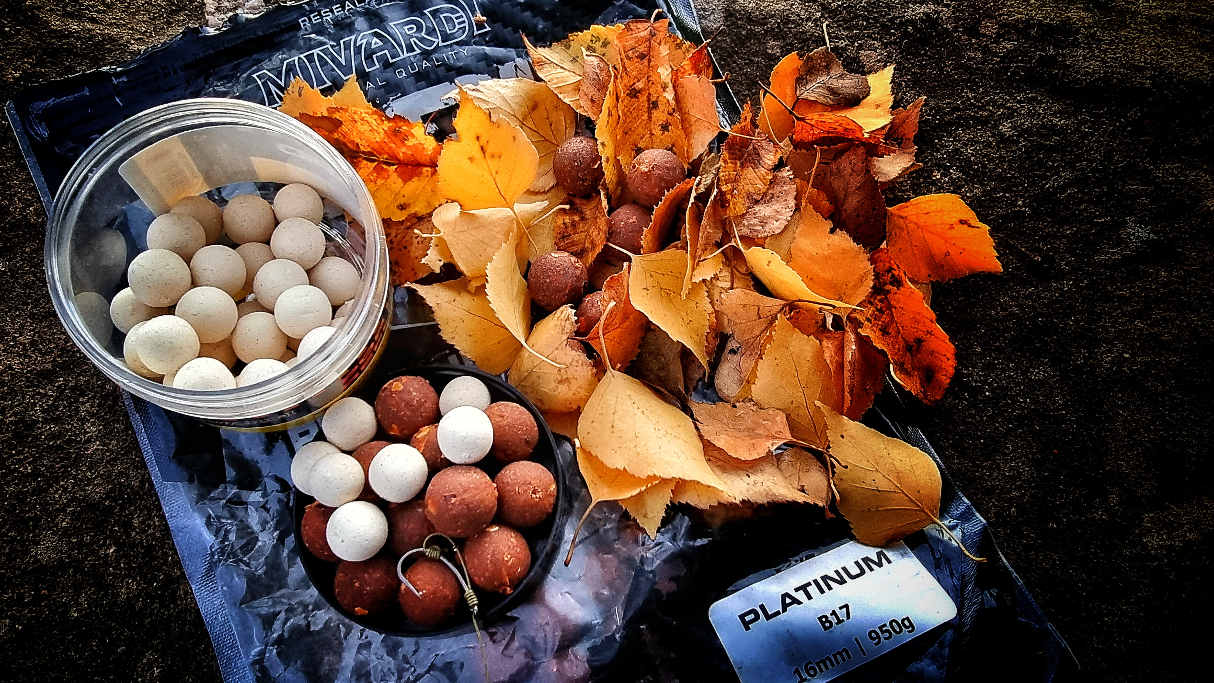 20221008-185754-01.jpg (3.65 MB)