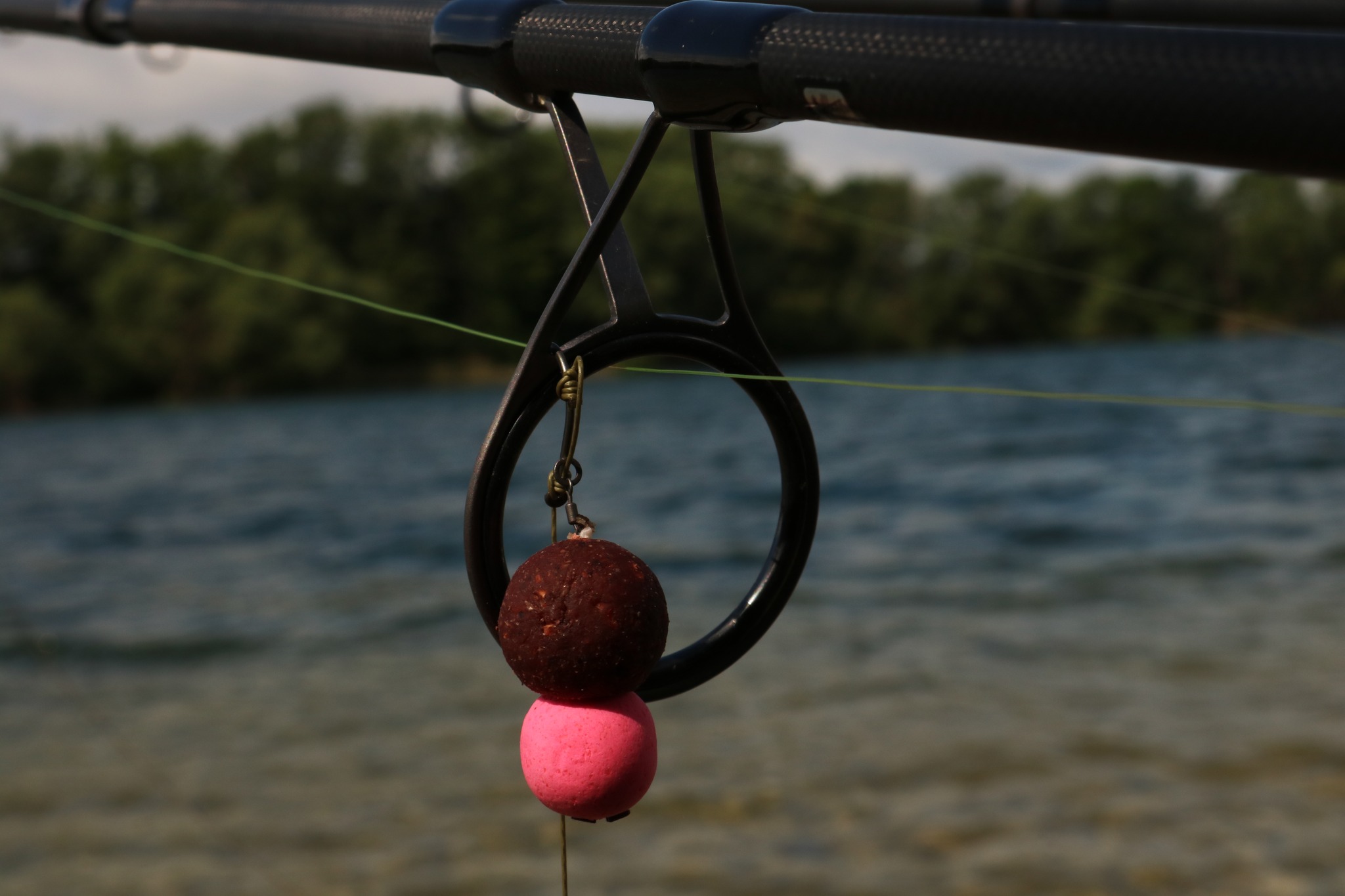 sascha-luther-10-2022-2.jpg (266 KB)