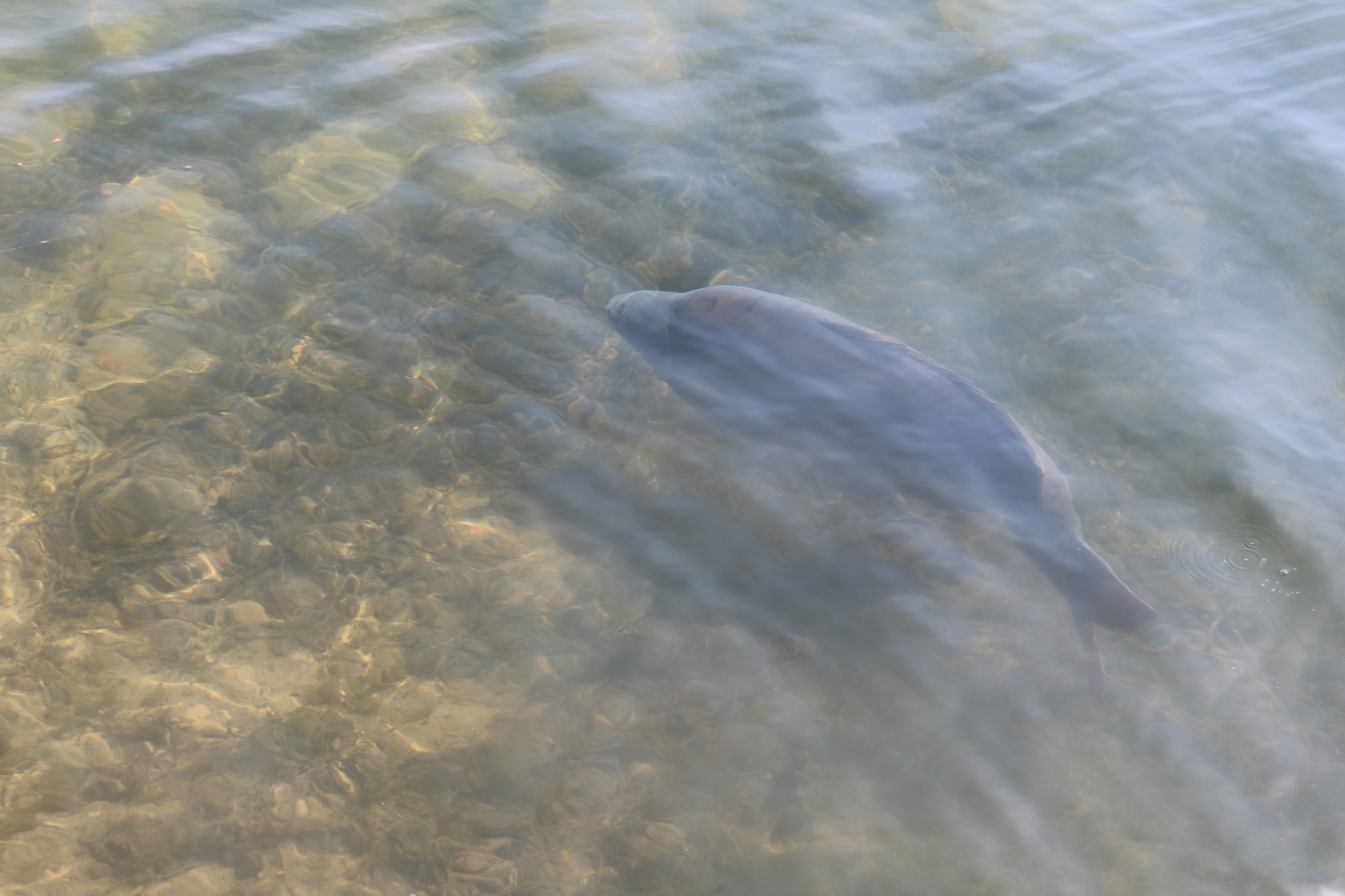 sascha-luther-10-2022-3.jpg (353 KB)