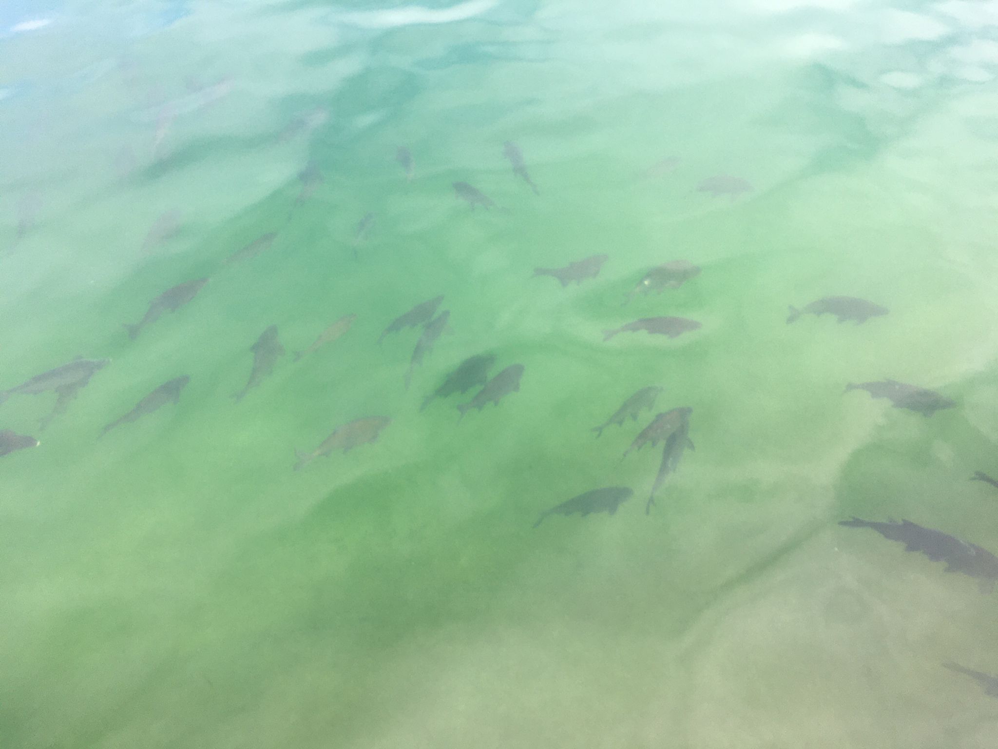 tobias-seel-du-der-2.jpg (214 KB)