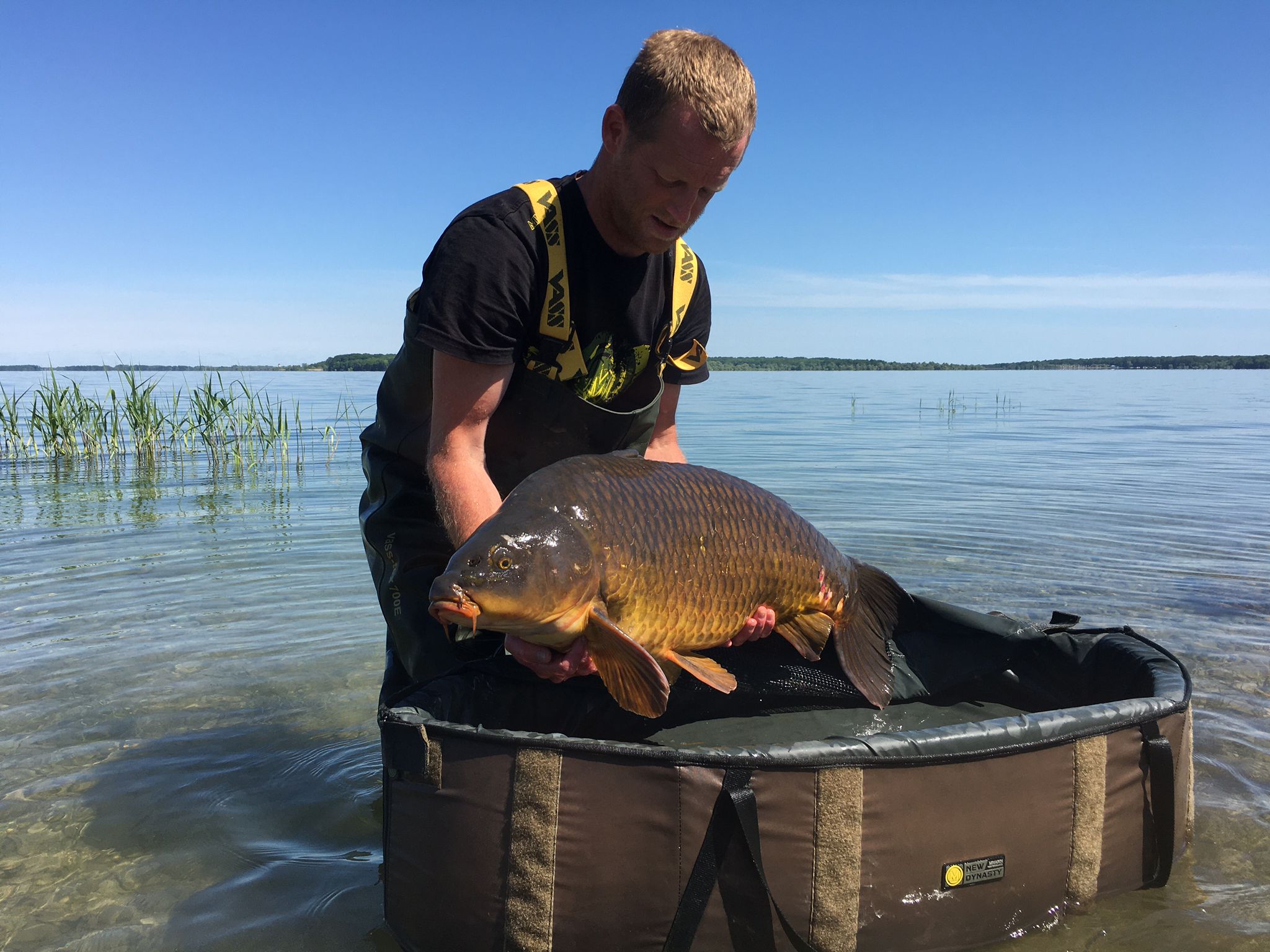 tobias-seel-du-der-3.jpg (397 KB)