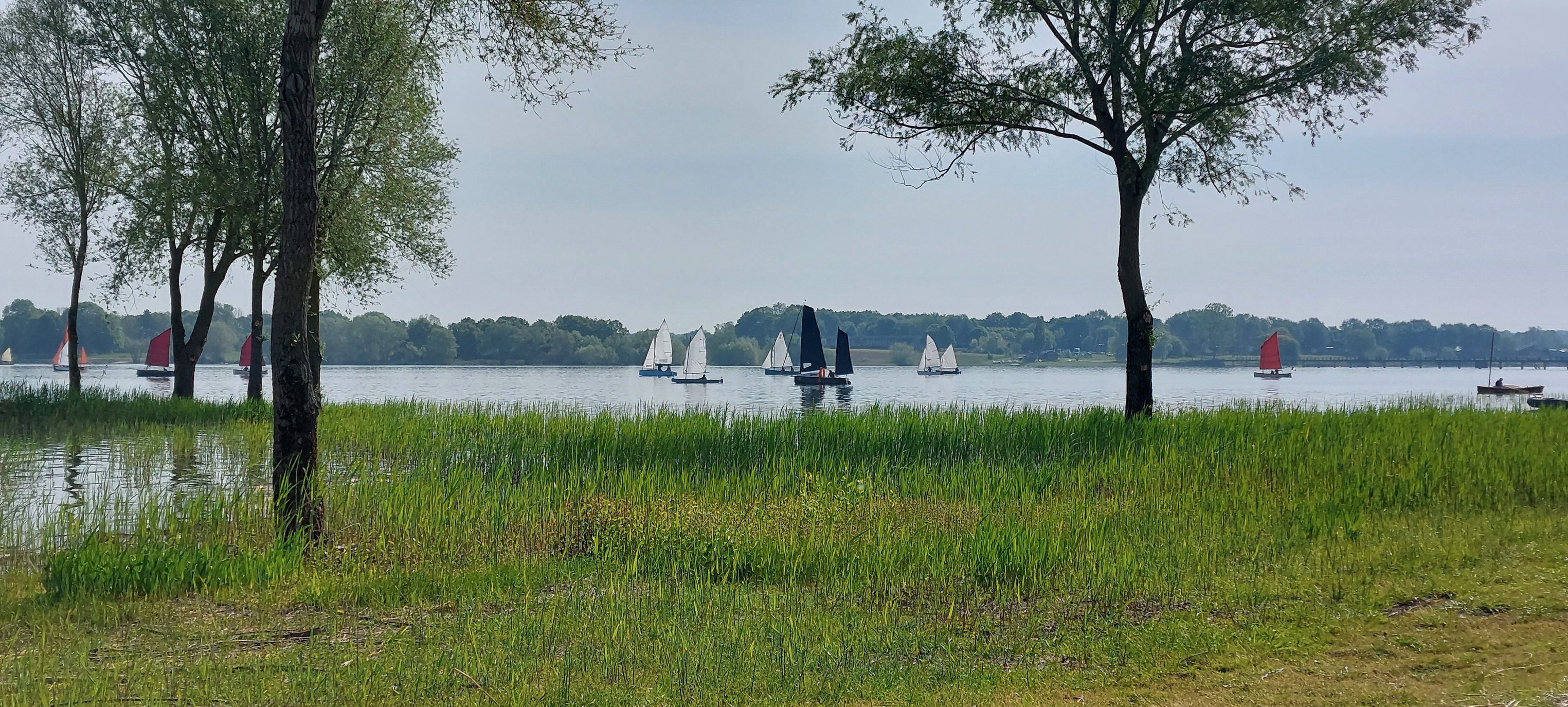 tobias-seel-du-der-6.jpg (1.52 MB)